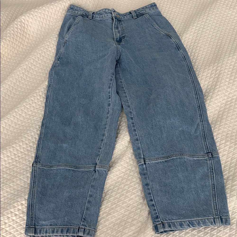 Everlane Carpenter Denim Jeans